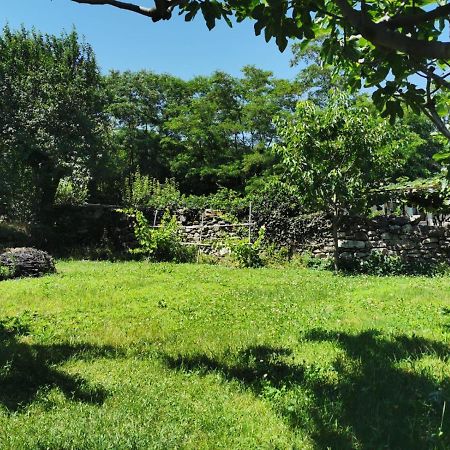 Da Zio Guido! Villa Bussoleno Buitenkant foto