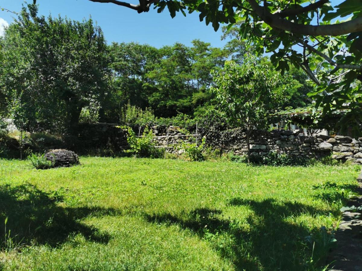 Da Zio Guido! Villa Bussoleno Buitenkant foto