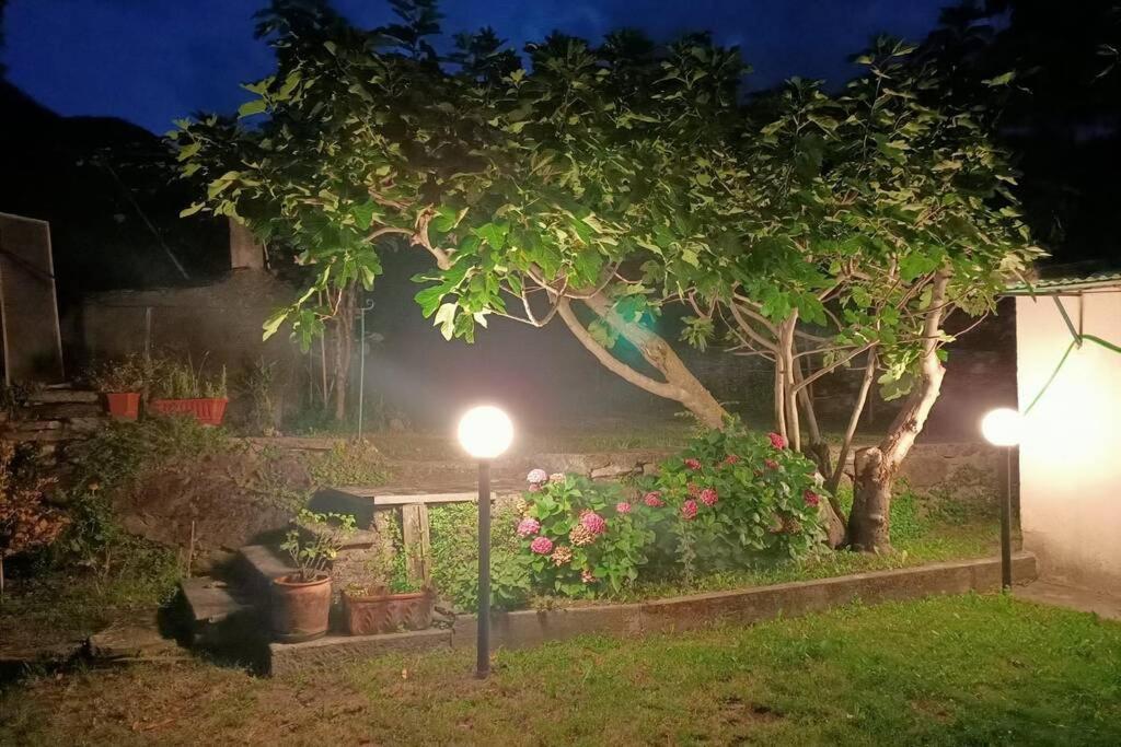 Da Zio Guido! Villa Bussoleno Buitenkant foto