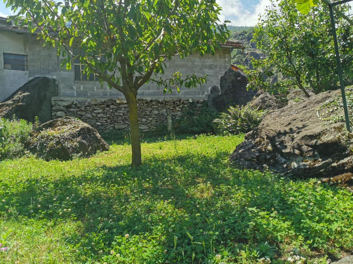 Da Zio Guido! Villa Bussoleno Buitenkant foto