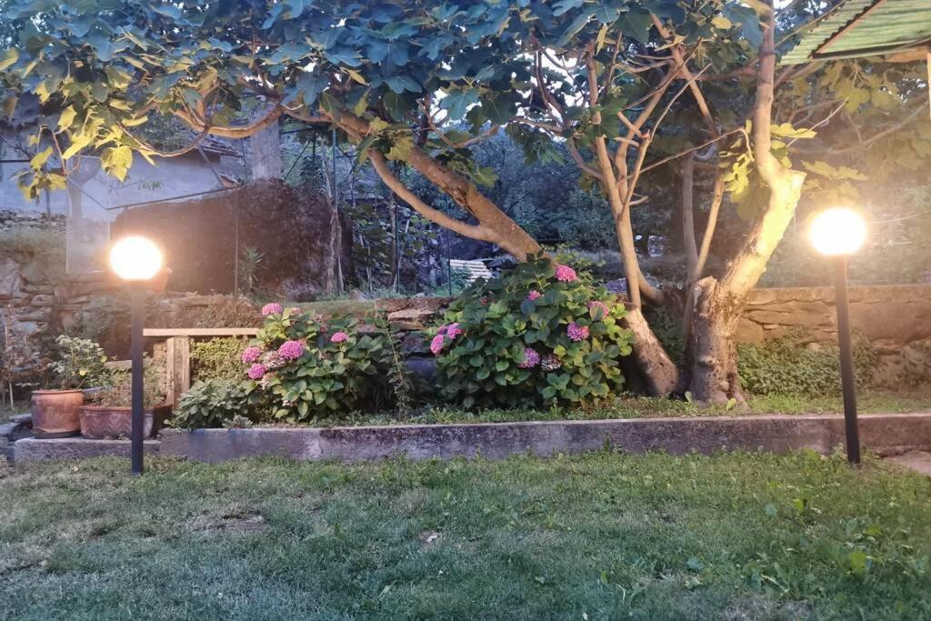 Da Zio Guido! Villa Bussoleno Buitenkant foto