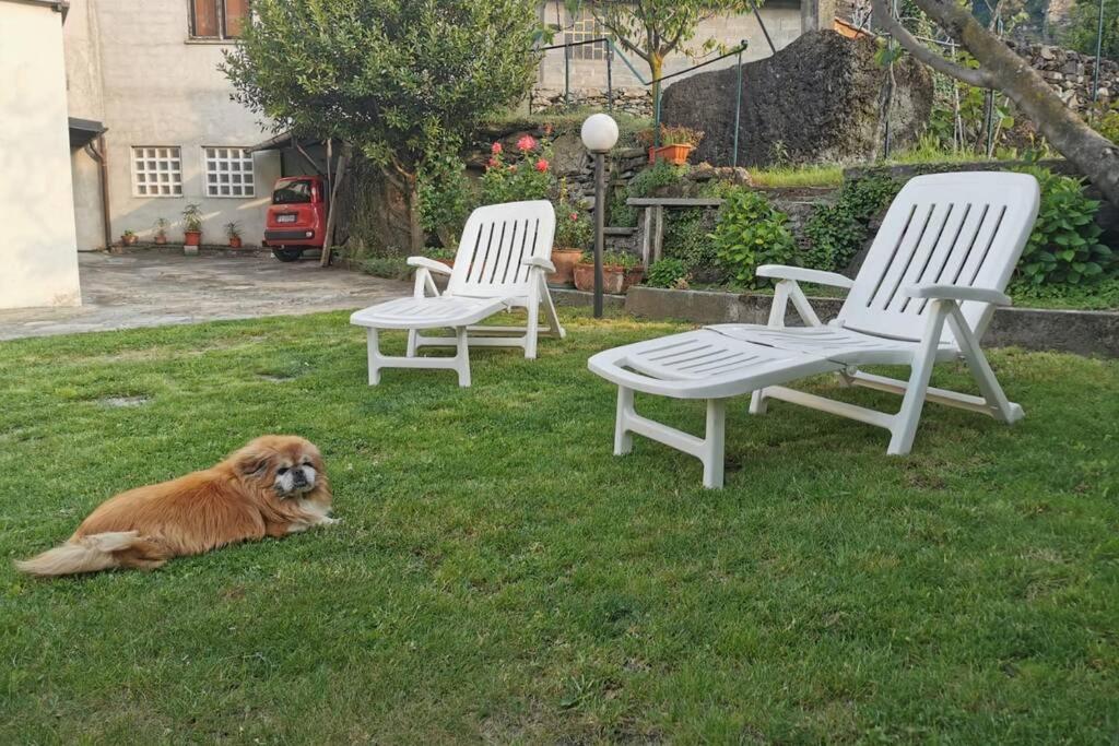 Da Zio Guido! Villa Bussoleno Buitenkant foto